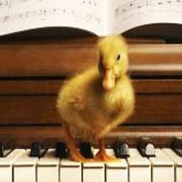 ShondraAsher Lifestyle