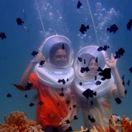 Andaman Honeymoon