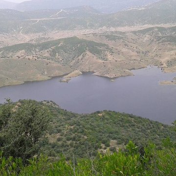 Qasim Lal