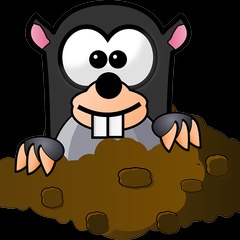 les news de la taupe