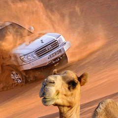 Desert Safari Tours