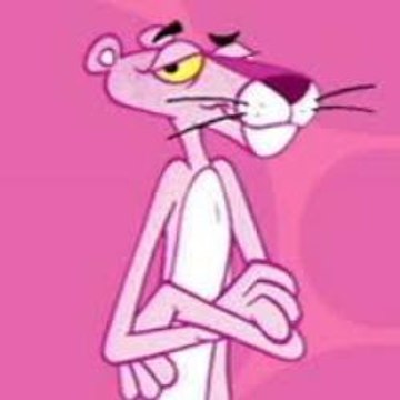 Everything about life