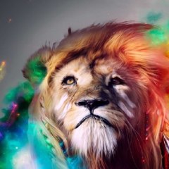 أسد المعلوميات