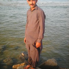 naveed AHMAD