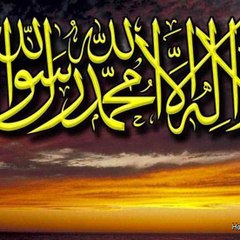 Mohammad usman talha Talha