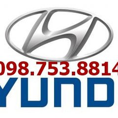 Hyundai VietNam