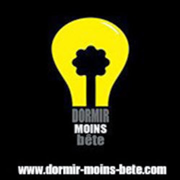 Profil DailyMotion de l&rsquo;utilisateur Dormir Moins B&ecirc;te