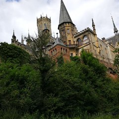 PhilippRiprese