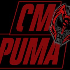 BigPumaGaming