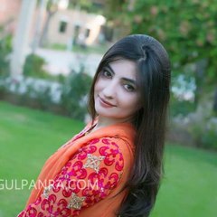 Pashto songs