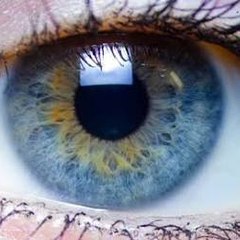 Dailymotion Trending