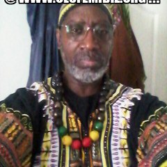 OlufemiBiz