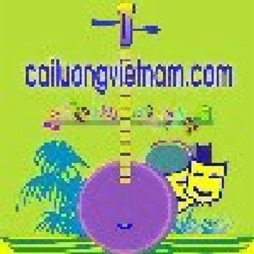 cailuongvietnam.com