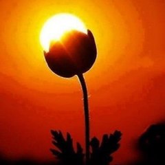 نهر المعرفة