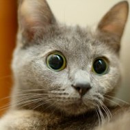 Улетное видео