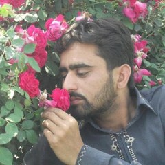 imran qadri