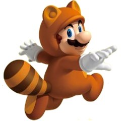 Tanookiracoony Studios