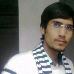 Roydarab