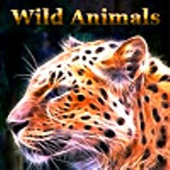 Wild Animals
