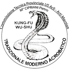 Kung Fu Wu Shu - Maestro Cipriani Pietro