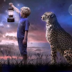 Interesting and Amazing Videos