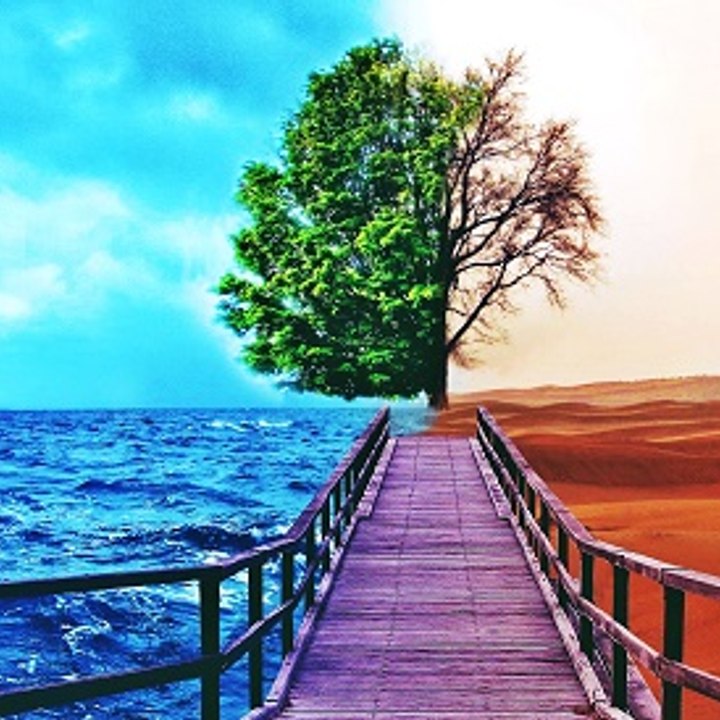 Dailymotion profile picture for @lifestyle