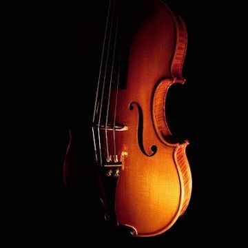 Davide Detlef Arienti