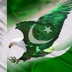 Muhammad Usman