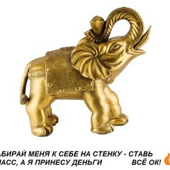 ВИДЕО-МАНИЯ