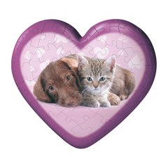 CUTEST VIDEOS EVER