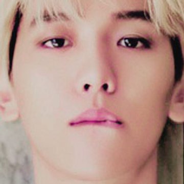 privyeolsubs