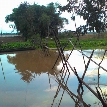 Nguyễn hoàng phương