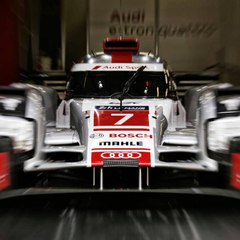 crambno'29 R