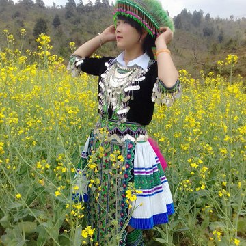 HMONG HD & PP