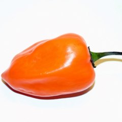 Habanero S