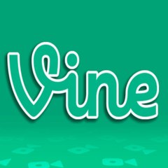 Best Vine Daily