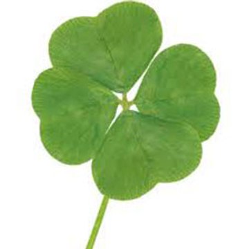 Lucky Mylife