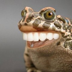 funny-clicps