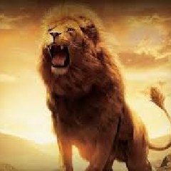 Tigers of World