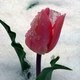 We Love Garden