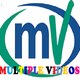 Multiple Videos