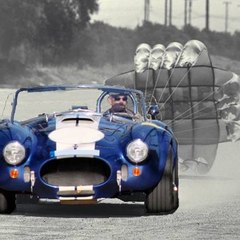 COBRA TV