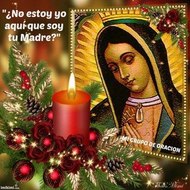 LA ROSA DE GUADALUPE