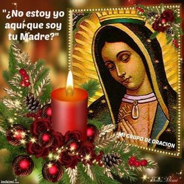LA ROSA DE GUADALUPE