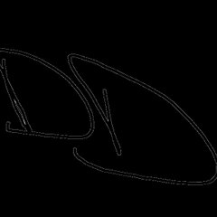 DD Music