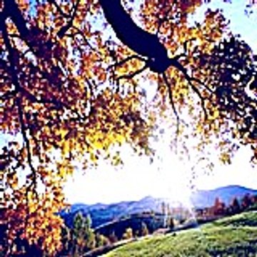 Fihededope