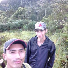 Ismael N Vieira