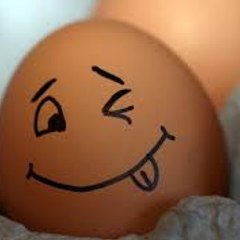 بشـــــــــــــائـــر