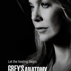 Grey's Anatomy [ABC] Series