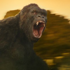 Kong  La Isla Calavera Pelicula Completa 2017